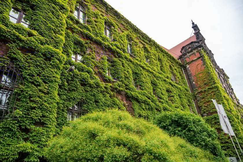 Muzeum Narodowe we Wrocławiu